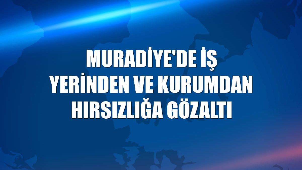 Muradiye'de iş yerinden ve kurumdan hırsızlığa gözaltı