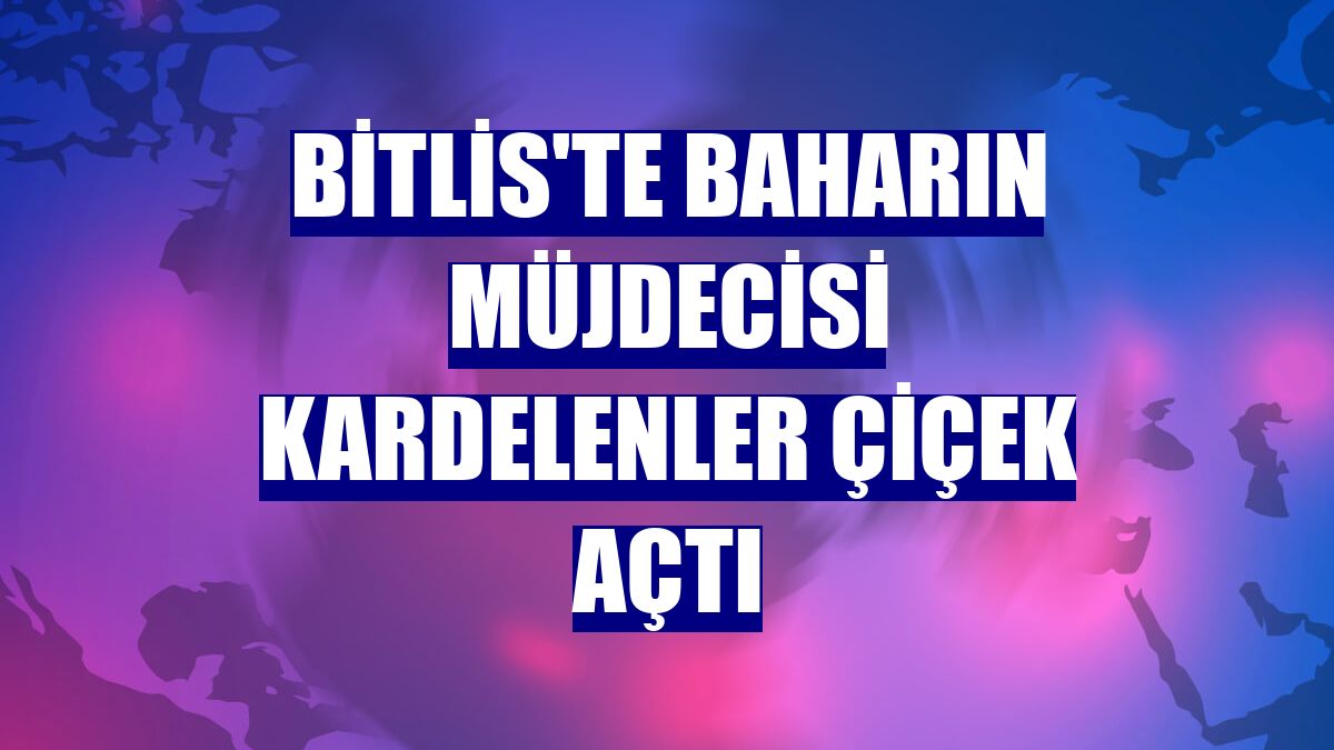 Bitlis'te baharın müjdecisi kardelenler çiçek açtı