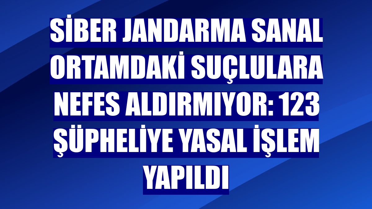 Siber jandarma sanal ortamdaki suçlulara nefes aldırmıyor: 123 şüpheliye yasal işlem yapıldı