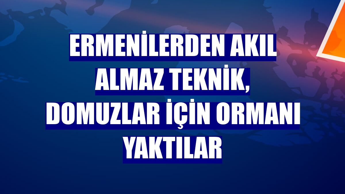 Ermenilerden akıl almaz teknik, domuzlar için ormanı yaktılar