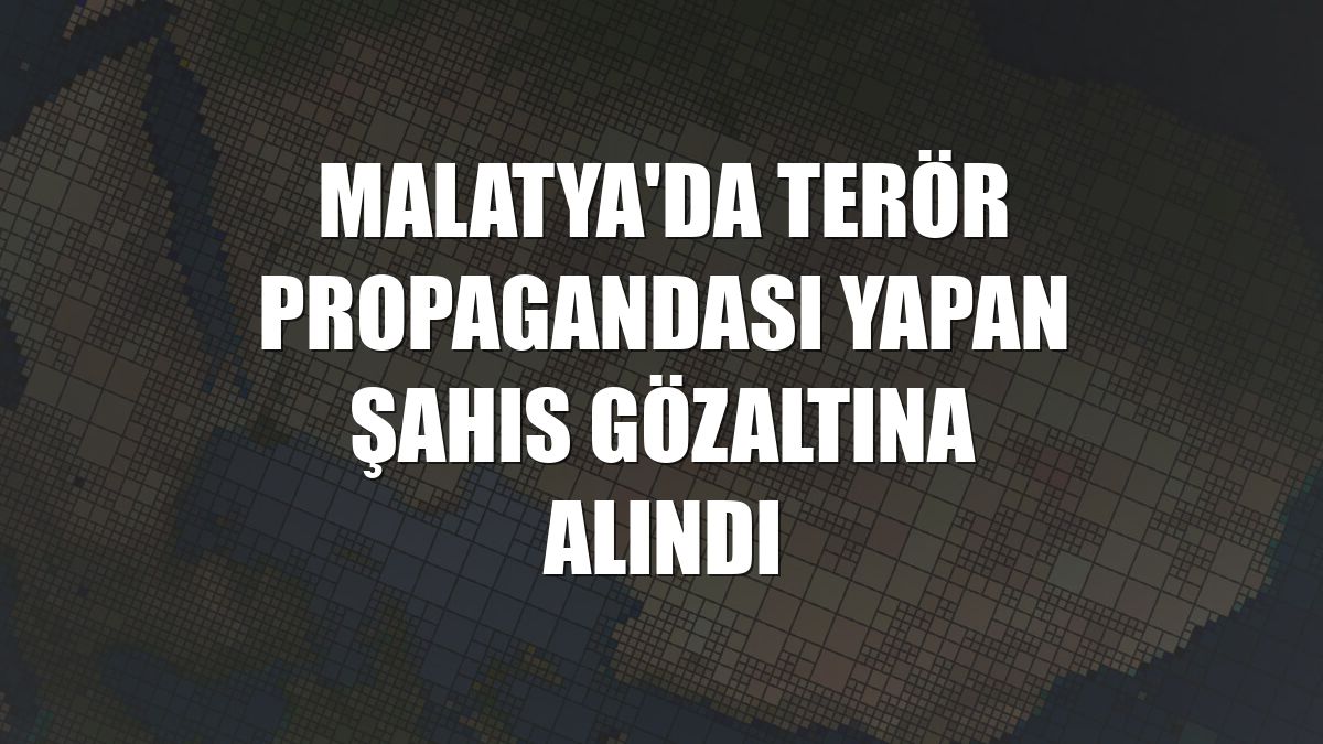 Malatya'da terör propagandası yapan şahıs gözaltına alındı