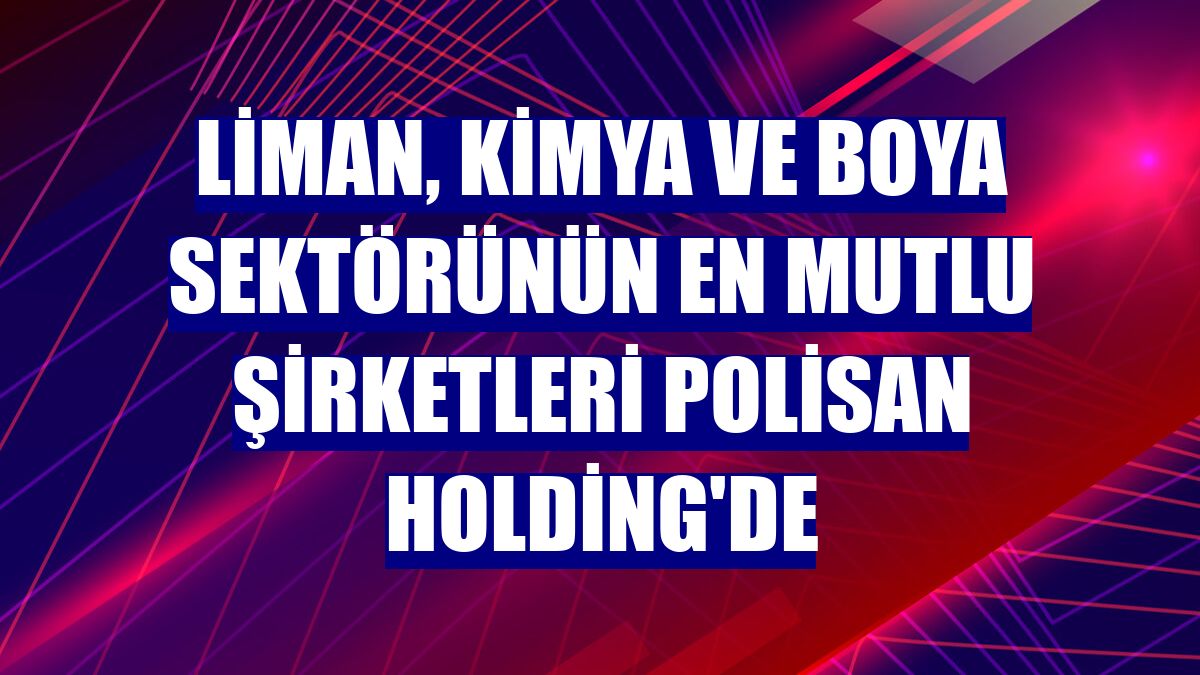 Liman, kimya ve boya sektörünün en mutlu şirketleri Polisan Holding'de