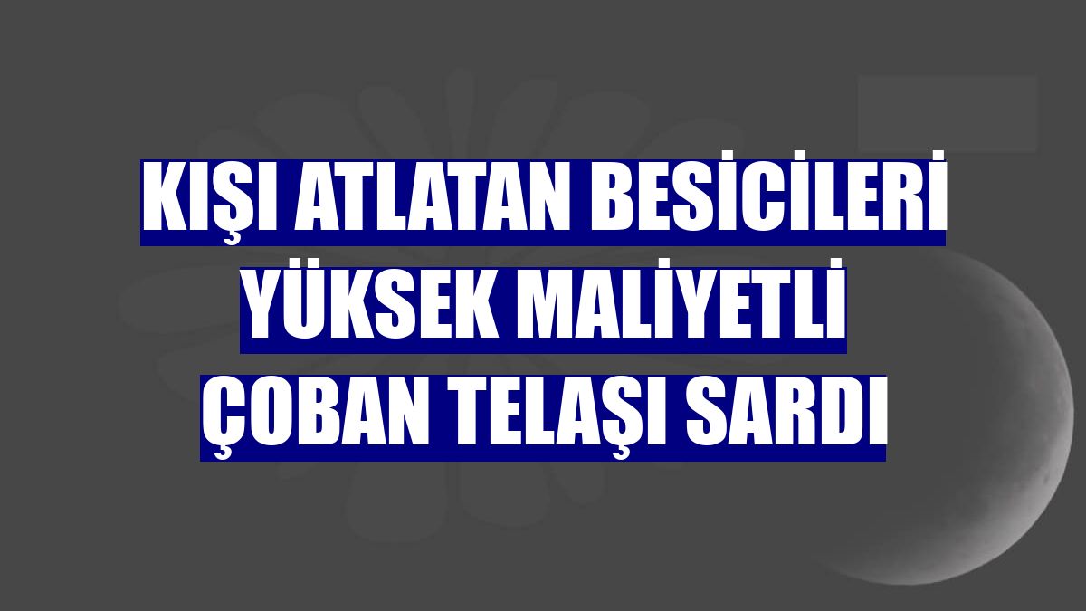 Kışı atlatan besicileri yüksek maliyetli çoban telaşı sardı