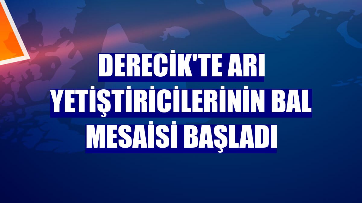 Derecik'te arı yetiştiricilerinin bal mesaisi başladı