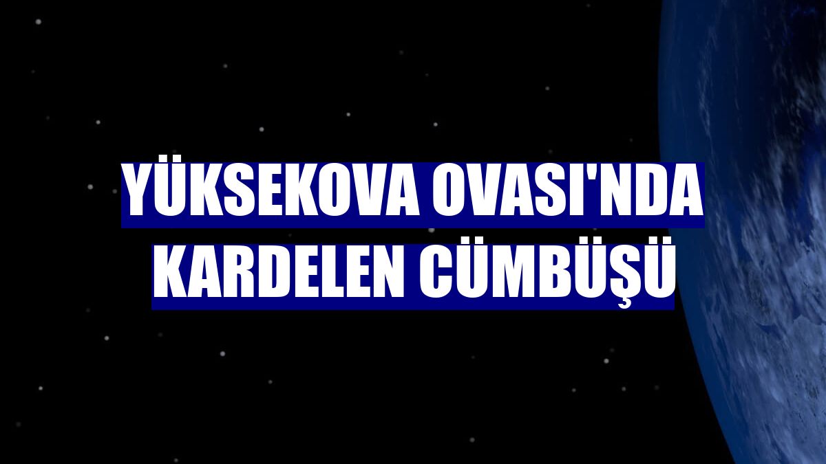Yüksekova Ovası'nda kardelen cümbüşü