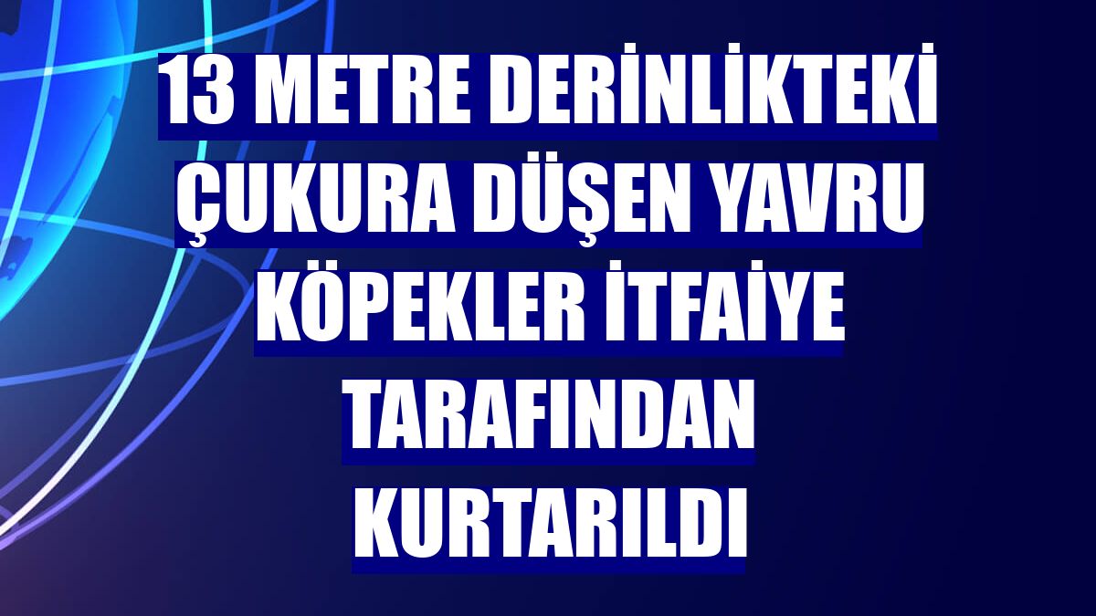 13 metre derinlikteki çukura düşen yavru köpekler itfaiye tarafından kurtarıldı