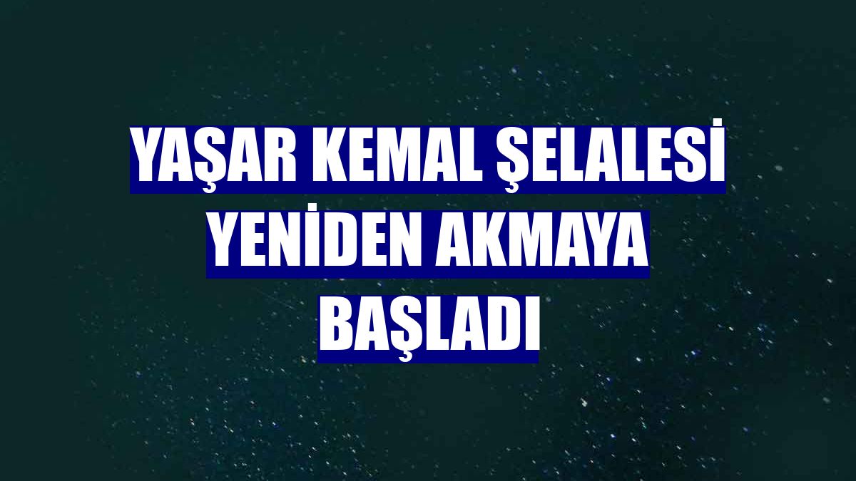 Yaşar Kemal Şelalesi yeniden akmaya başladı