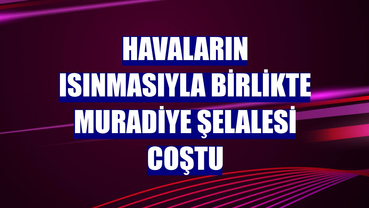 Havaların ısınmasıyla birlikte Muradiye Şelalesi coştu
