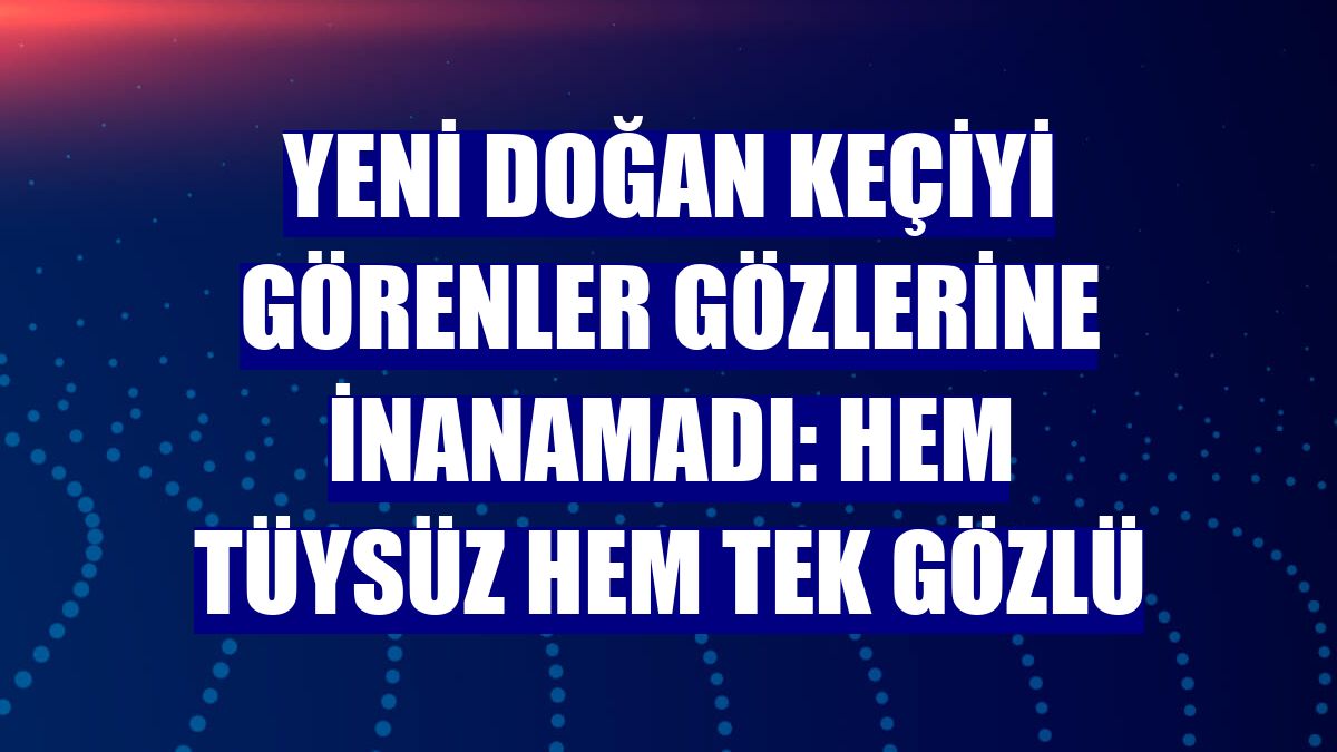 Yeni doğan keçiyi görenler gözlerine inanamadı: Hem tüysüz hem tek gözlü