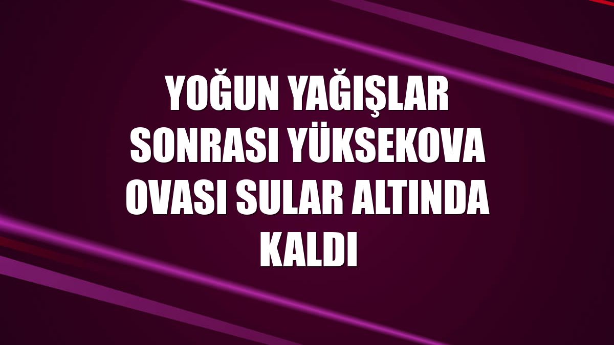 Yoğun yağışlar sonrası Yüksekova ovası sular altında kaldı