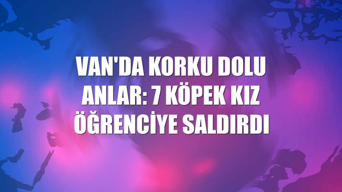 Van'da korku dolu anlar: 7 köpek kız öğrenciye saldırdı