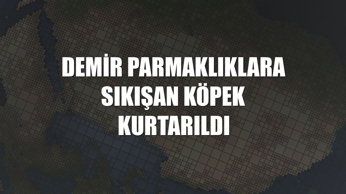 Demir parmaklıklara sıkışan köpek kurtarıldı