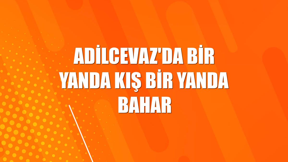 Adilcevaz'da bir yanda kış bir yanda bahar