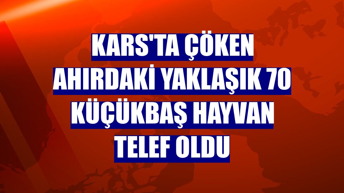 Kars'ta çöken ahırdaki yaklaşık 70 küçükbaş hayvan telef oldu