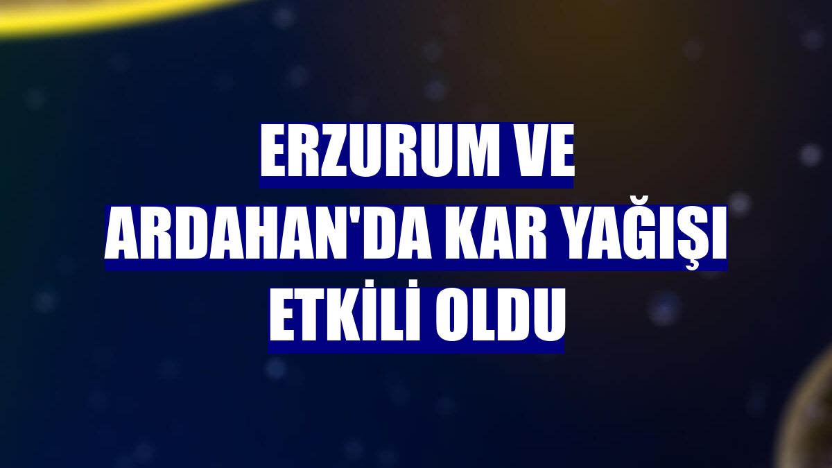 Erzurum ve Ardahan'da kar yağışı etkili oldu