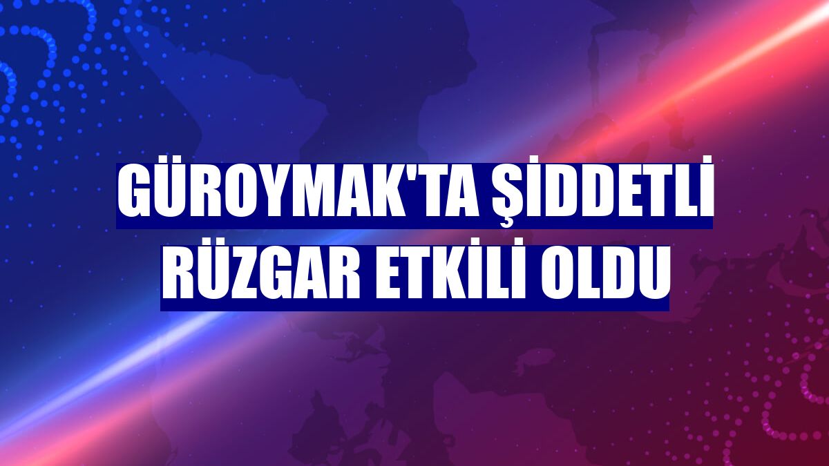 Güroymak'ta şiddetli rüzgar etkili oldu