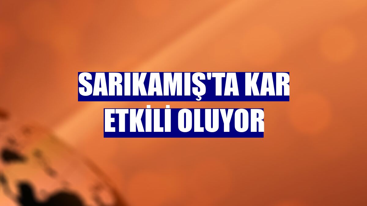 Sarıkamış'ta kar etkili oluyor