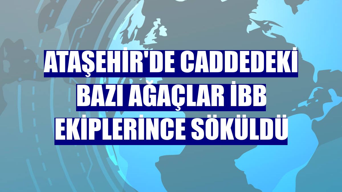 Ataşehir'de caddedeki bazı ağaçlar İBB ekiplerince söküldü