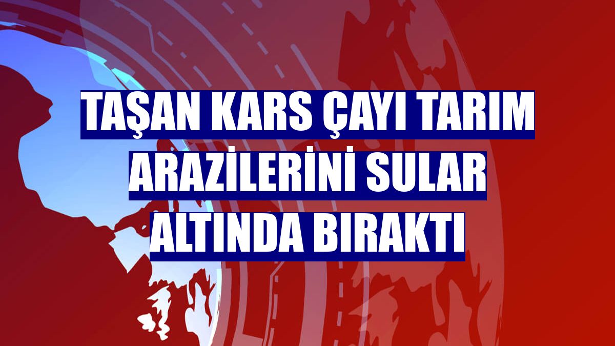 Taşan Kars Çayı tarım arazilerini sular altında bıraktı