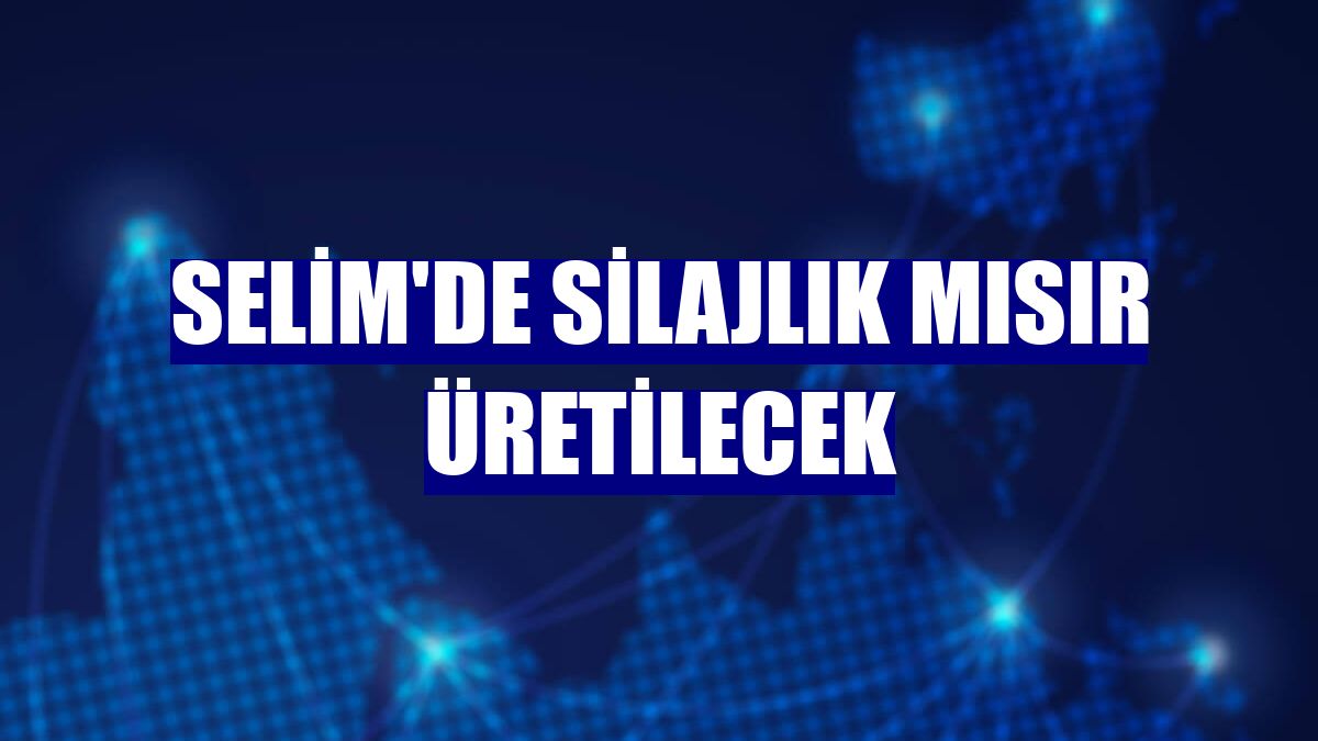 Selim'de silajlık mısır üretilecek