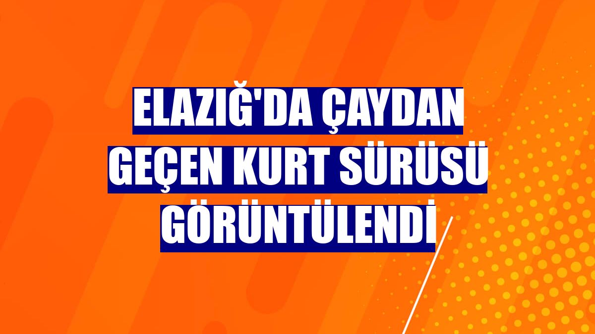 Elazığ'da çaydan geçen kurt sürüsü görüntülendi