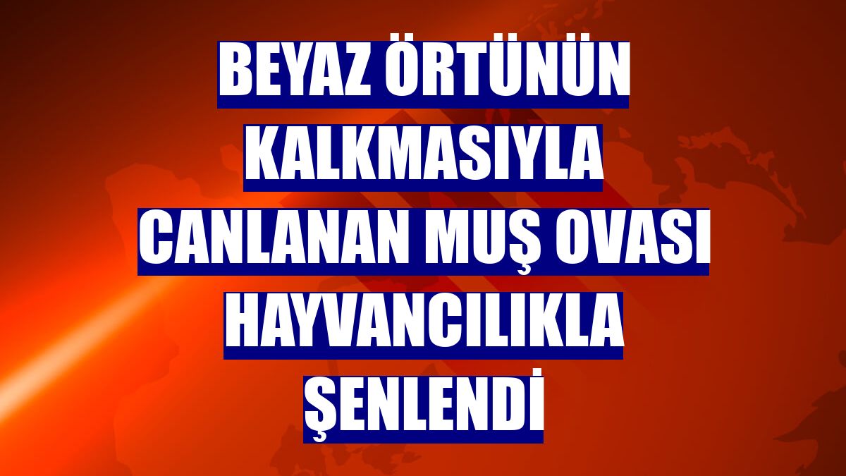 Beyaz örtünün kalkmasıyla canlanan Muş Ovası hayvancılıkla şenlendi