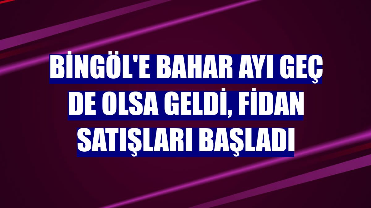 Bingöl'e bahar ayı geç de olsa geldi, fidan satışları başladı