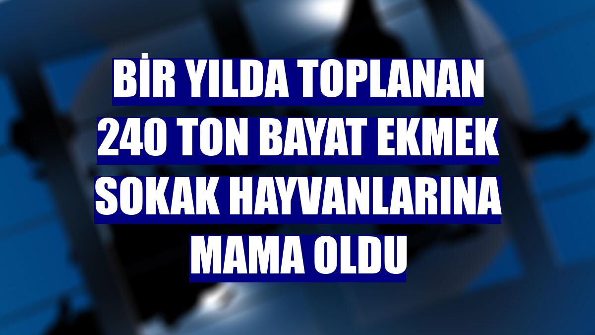 Bir yılda toplanan 240 ton bayat ekmek sokak hayvanlarına mama oldu