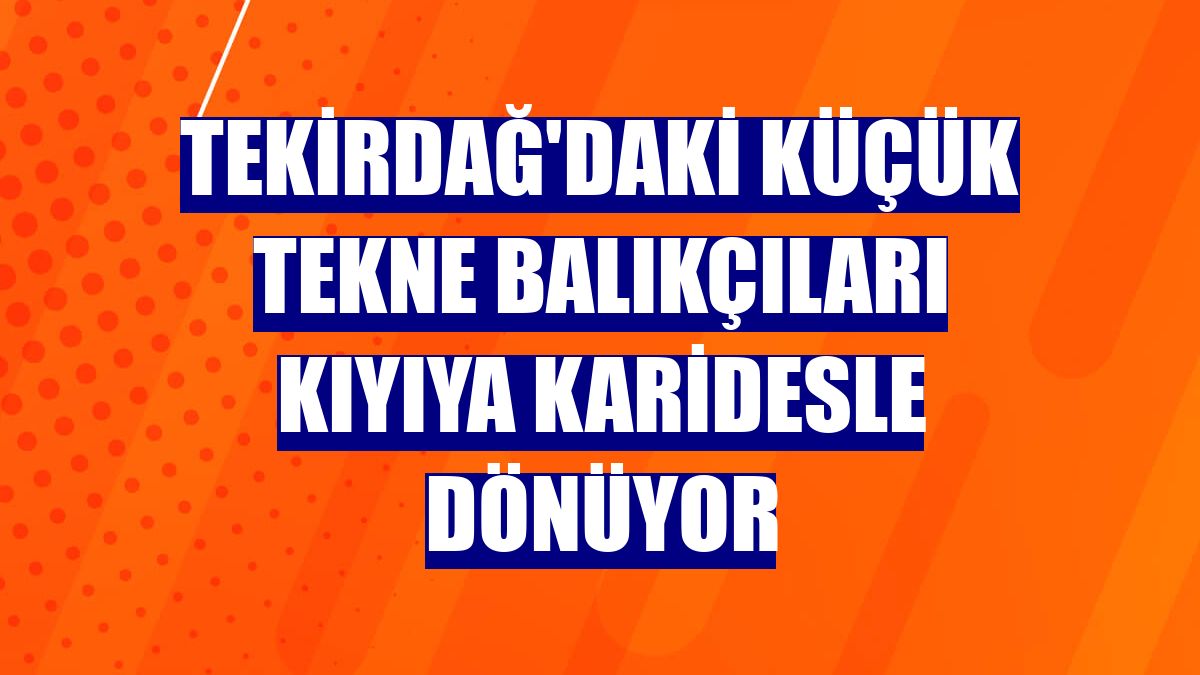 Tekirdağ'daki küçük tekne balıkçıları kıyıya karidesle dönüyor