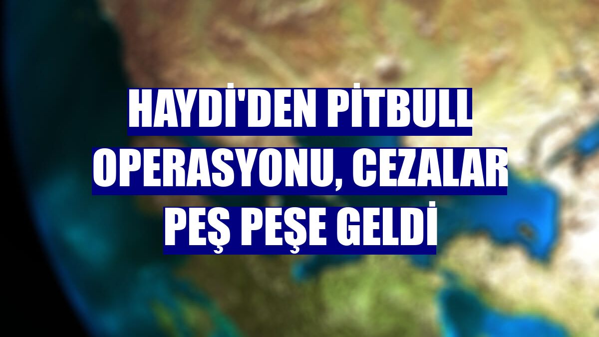 HAYDİ'den pitbull operasyonu, cezalar peş peşe geldi