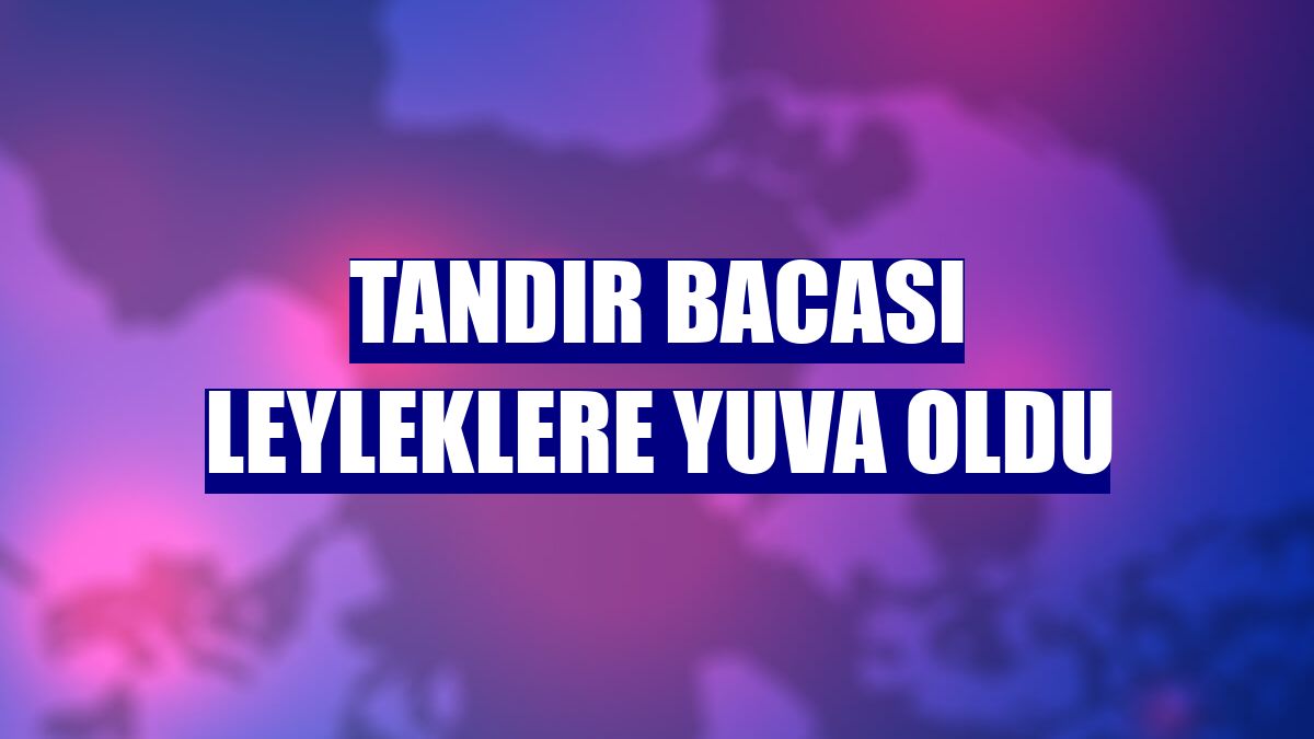 Tandır bacası leyleklere yuva oldu