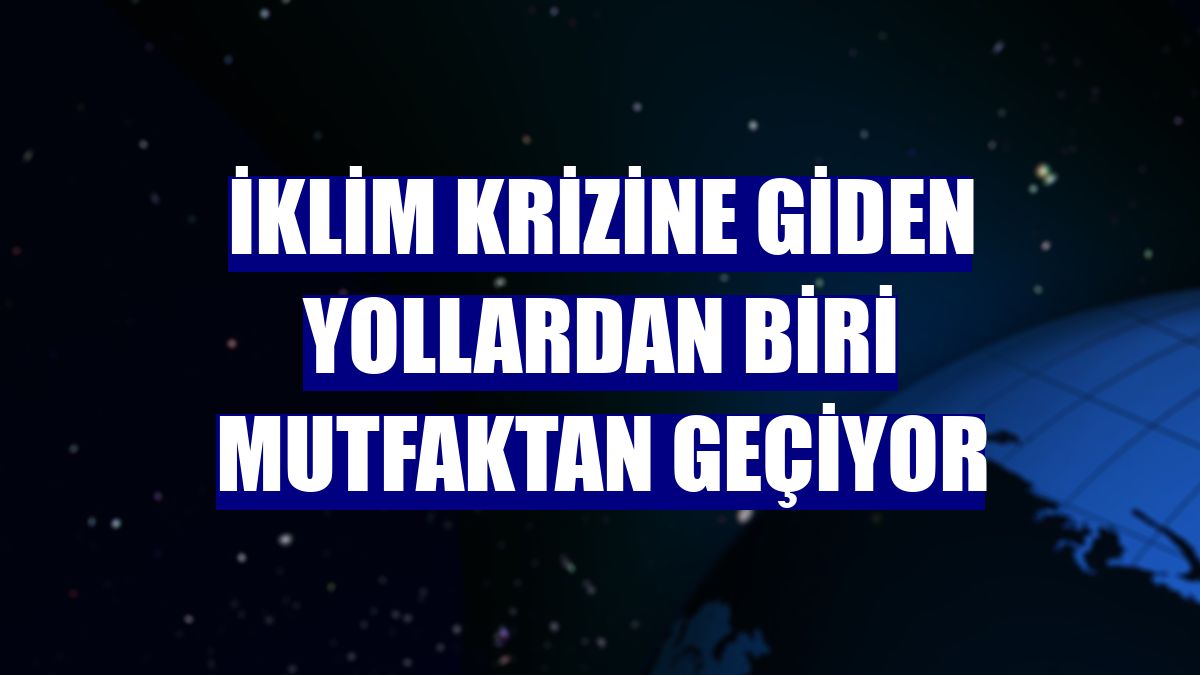 İklim krizine giden yollardan biri mutfaktan geçiyor