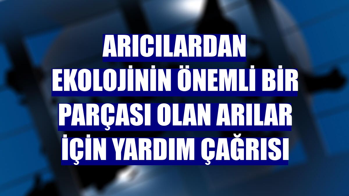 Arıcılardan ekolojinin önemli bir parçası olan arılar için yardım çağrısı