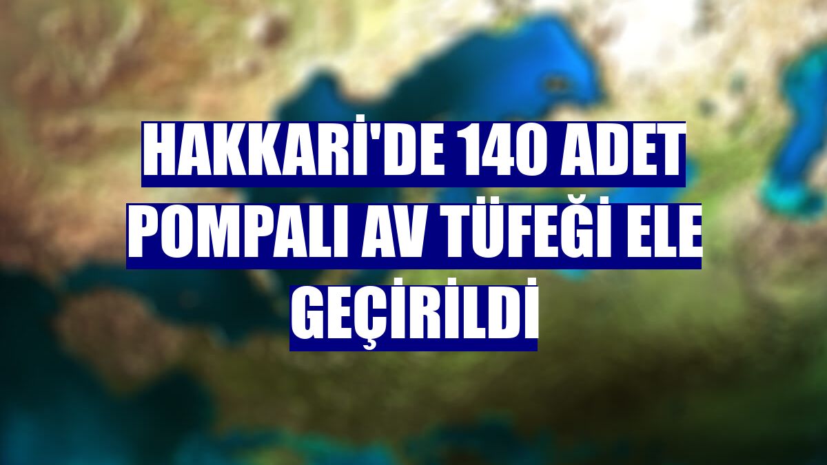 Hakkari'de 140 adet pompalı av tüfeği ele geçirildi
