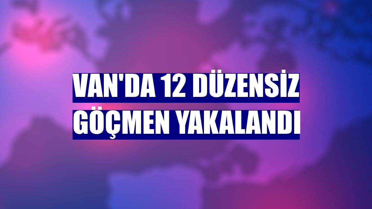 Van'da 12 düzensiz göçmen yakalandı