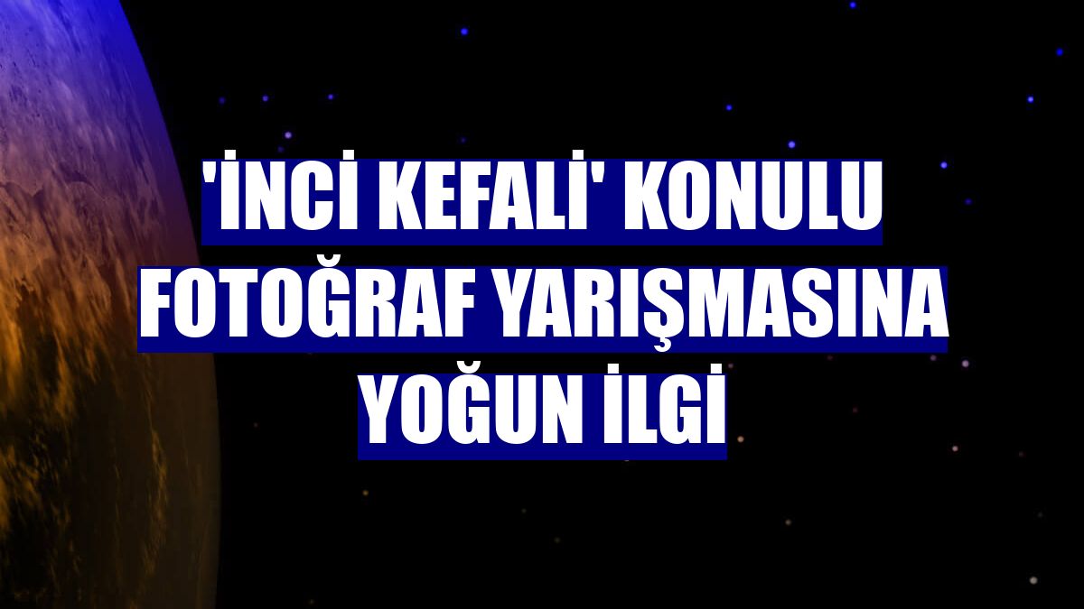 'İnci kefali' konulu fotoğraf yarışmasına yoğun ilgi