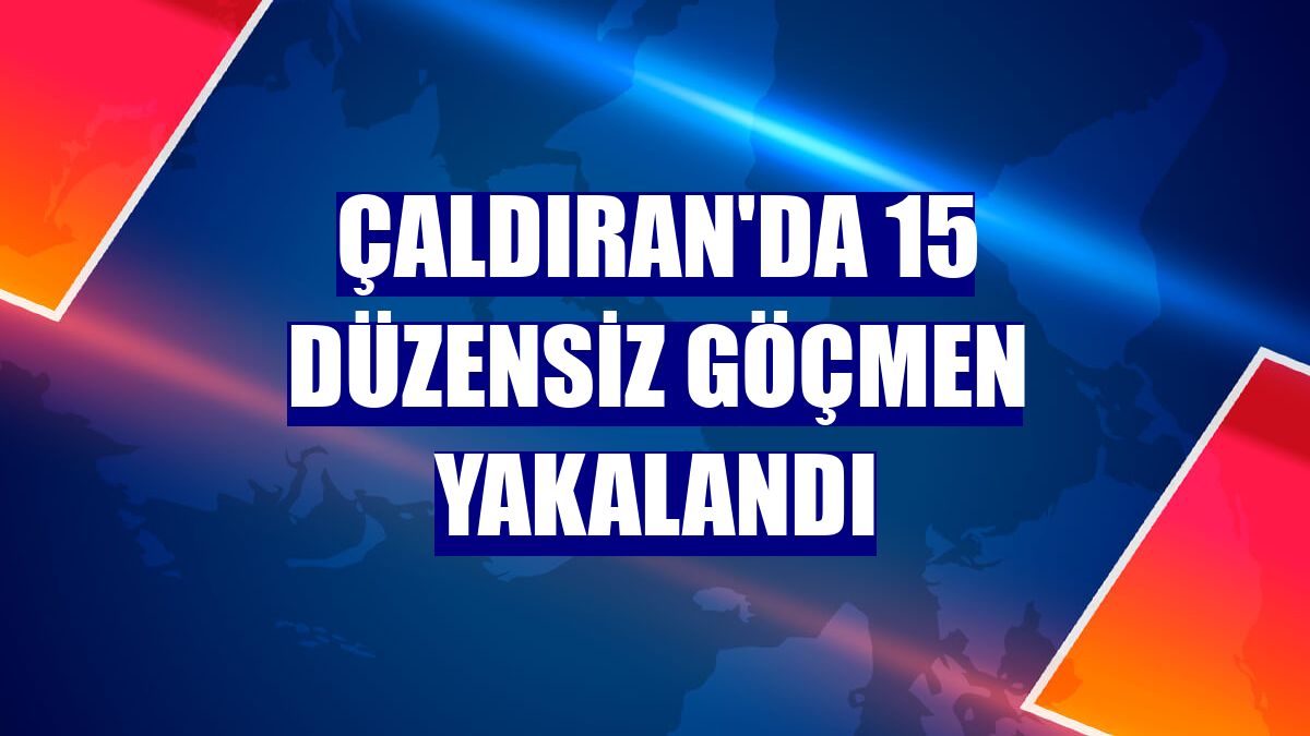 Çaldıran'da 15 düzensiz göçmen yakalandı