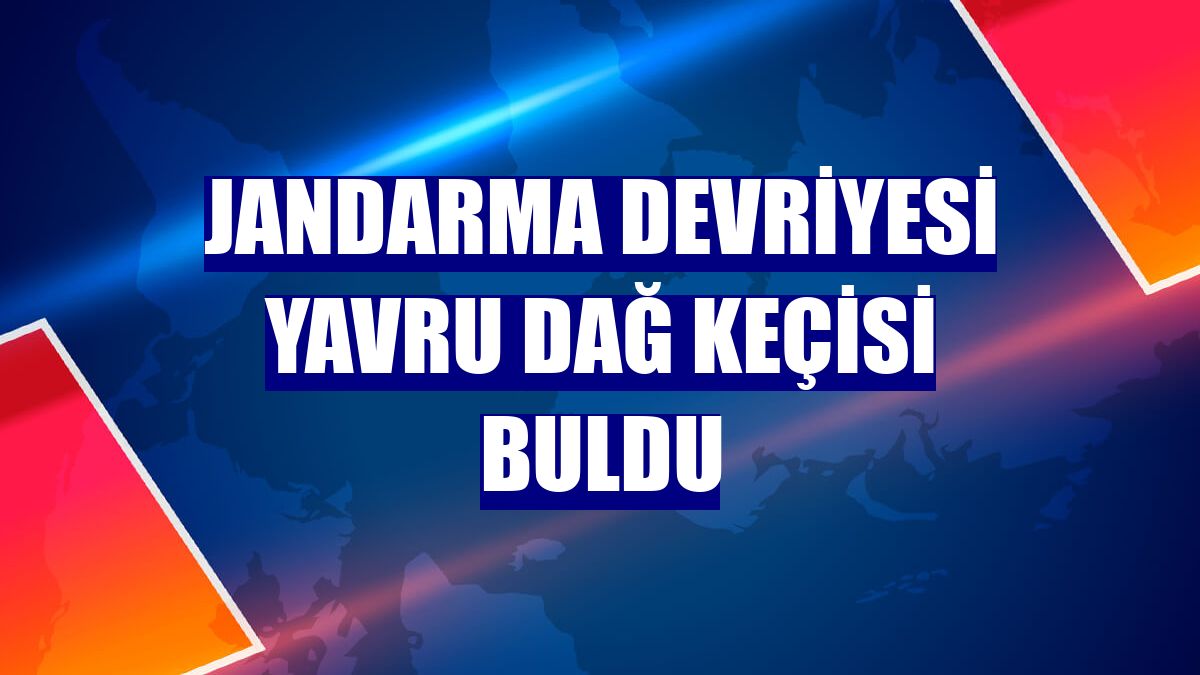 Jandarma devriyesi yavru dağ keçisi buldu