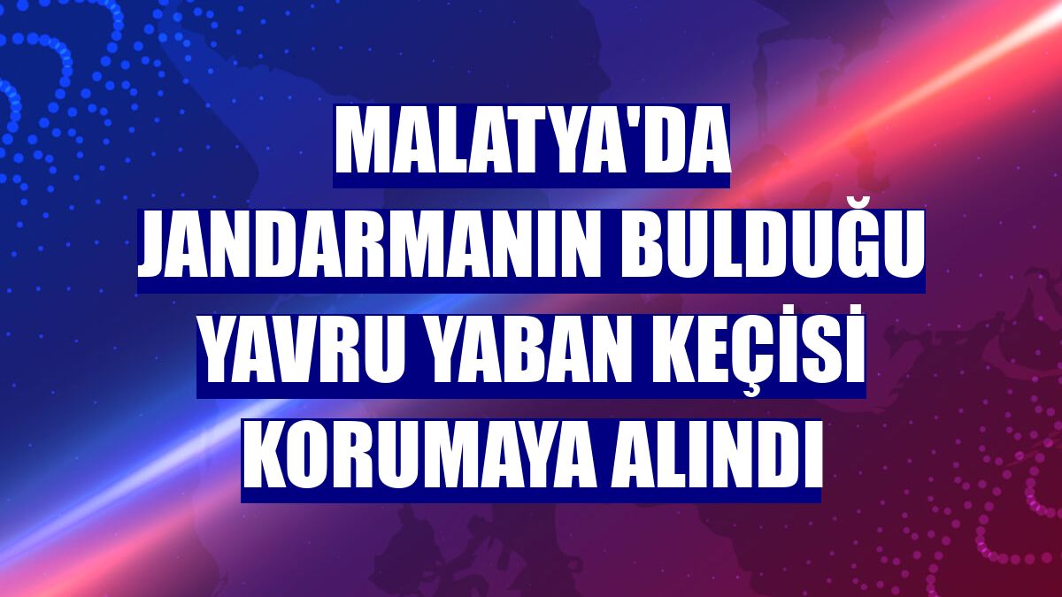 Malatya'da jandarmanın bulduğu yavru yaban keçisi korumaya alındı