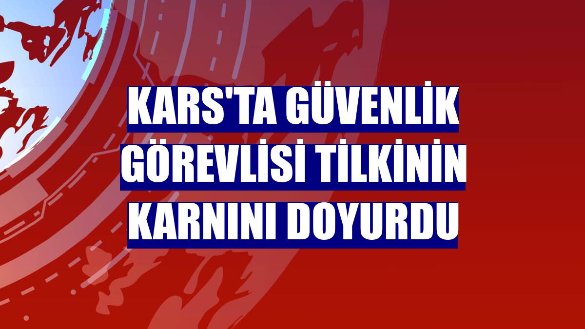Kars'ta güvenlik görevlisi tilkinin karnını doyurdu
