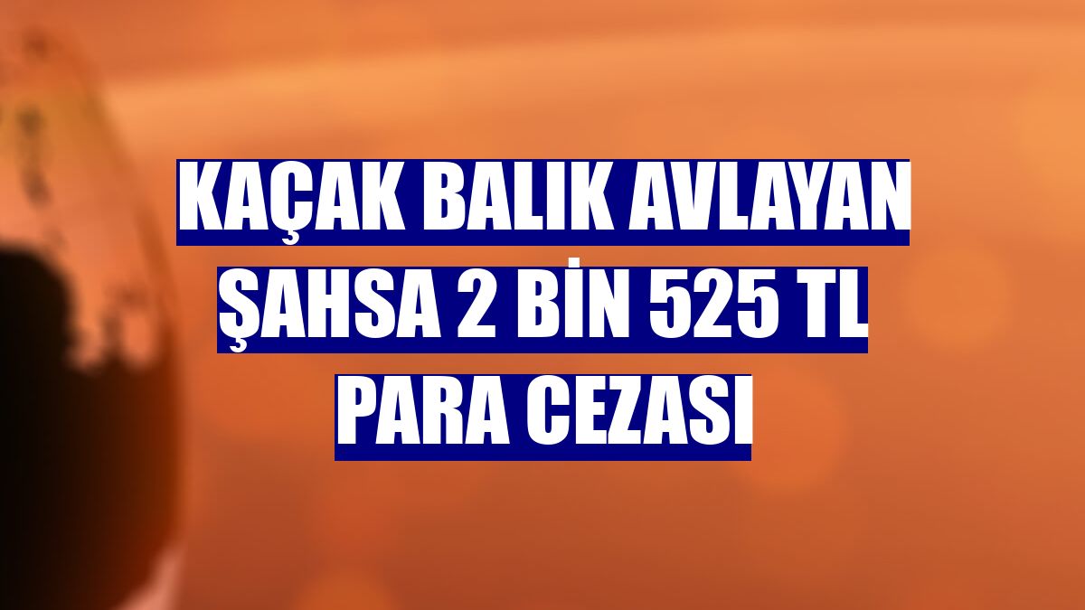 Kaçak balık avlayan şahsa 2 bin 525 TL para cezası