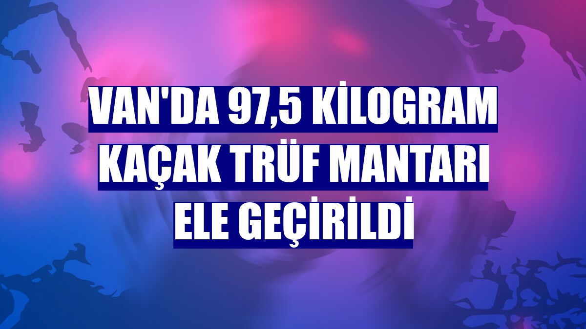 Van'da 97,5 kilogram kaçak trüf mantarı ele geçirildi