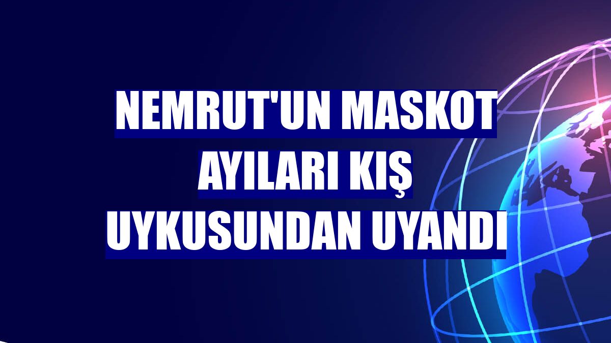 Nemrut'un maskot ayıları kış uykusundan uyandı