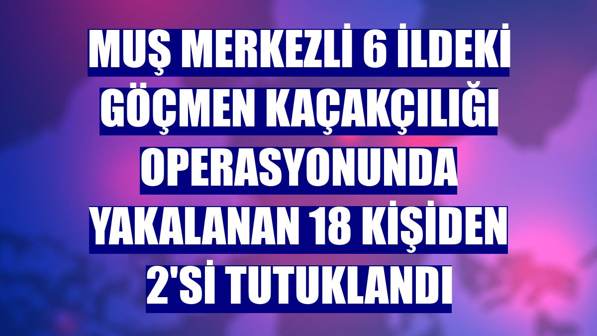 Muş merkezli 6 ildeki göçmen kaçakçılığı operasyonunda yakalanan 18 kişiden 2'si tutuklandı