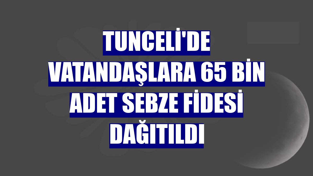 Tunceli'de vatandaşlara 65 bin adet sebze fidesi dağıtıldı