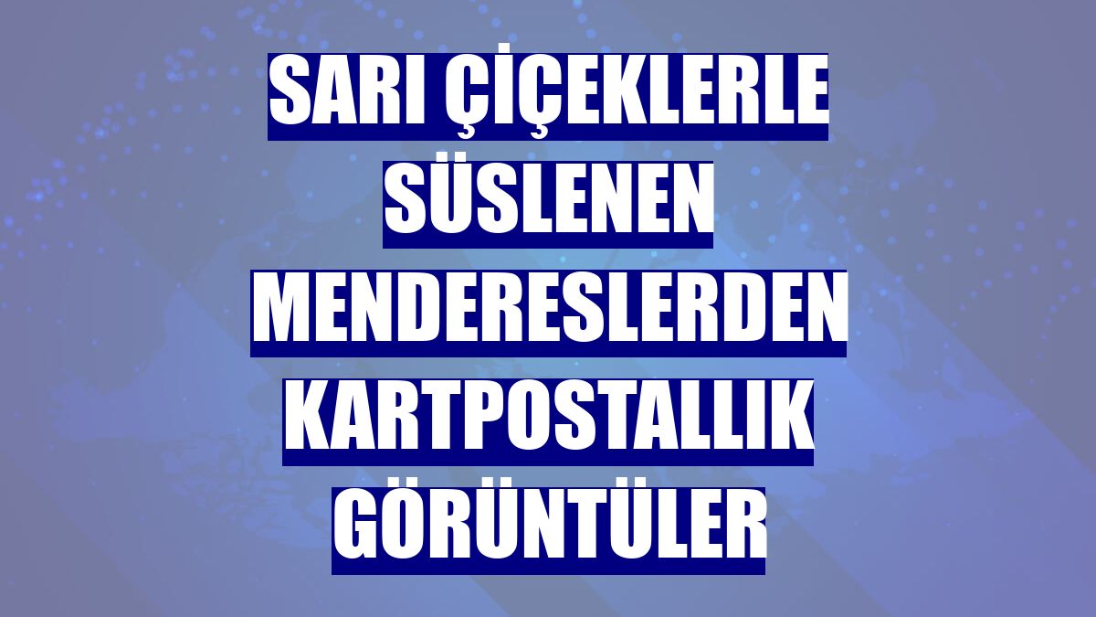 Sarı çiçeklerle süslenen mendereslerden kartpostallık görüntüler