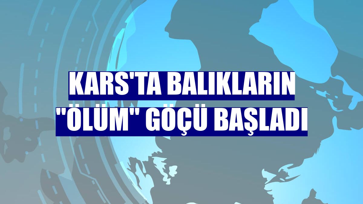 Kars'ta balıkların "ölüm" göçü başladı