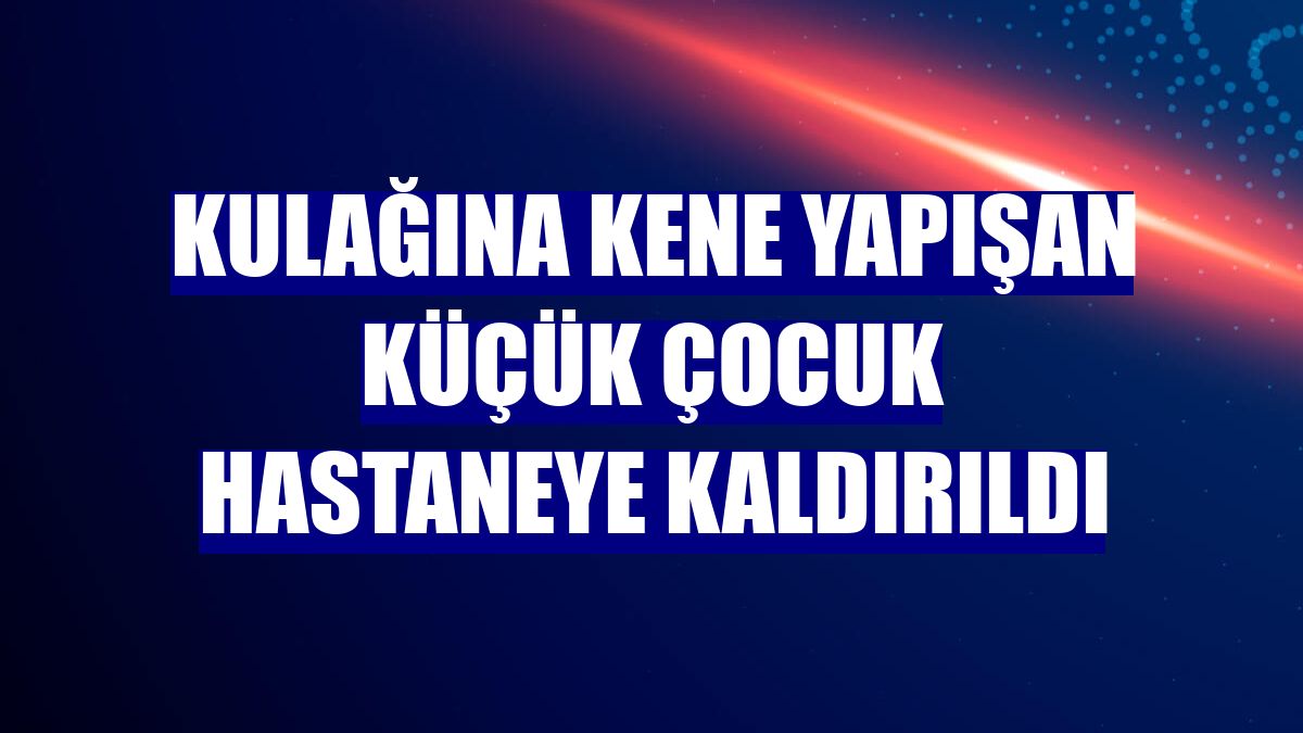 Kulağına kene yapışan küçük çocuk hastaneye kaldırıldı