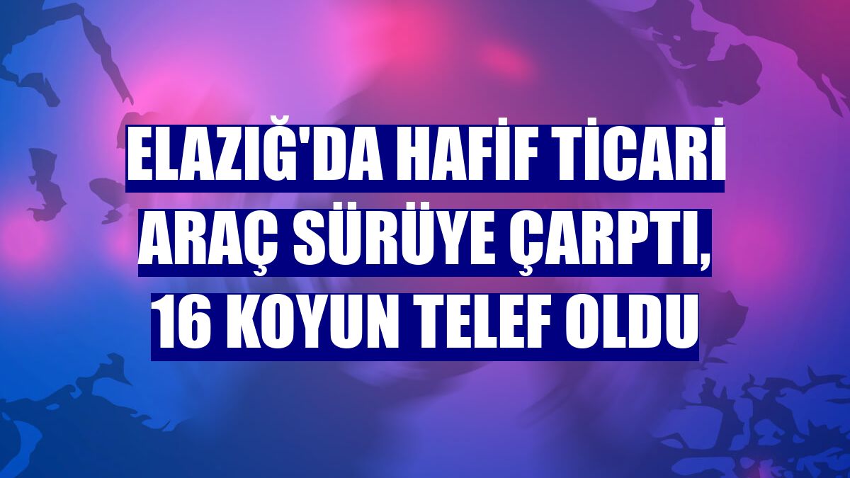 Elazığ'da hafif ticari araç sürüye çarptı, 16 koyun telef oldu