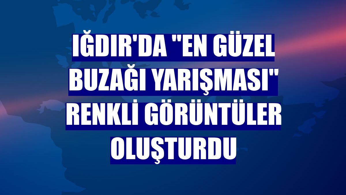 Iğdır'da "En Güzel Buzağı Yarışması" renkli görüntüler oluşturdu
